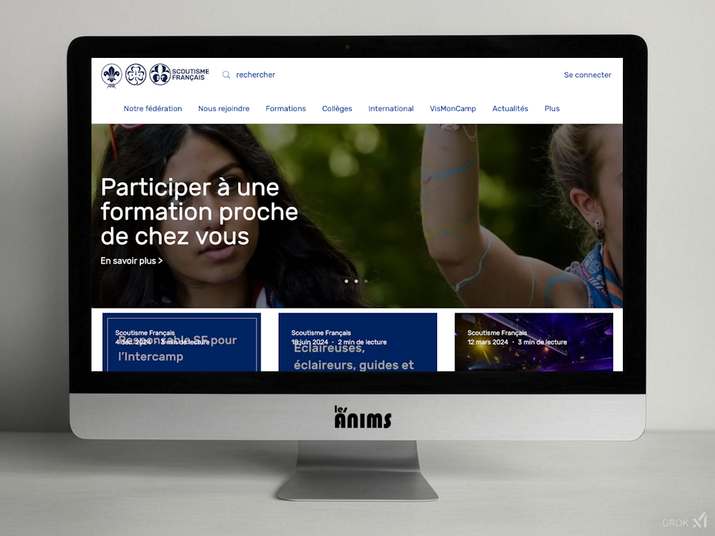 Scoutisme français